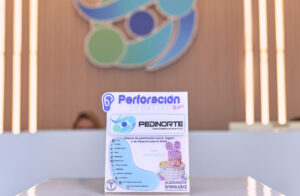 2pedinorte 272